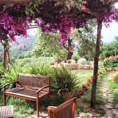 Отель Agriturismo I Moresani Казаль-Велино фото 12