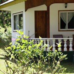 Tournesol Guesthouse in La Digue, Seychelles from 204$, photos, reviews - zenhotels.com balcony