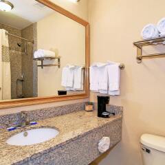 Отель Best Western Auburn/Opelika Inn США, Опелика - отзывы, цены и фото номеров - забронировать отель Best Western Auburn/Opelika Inn онлайн ванная