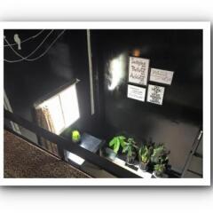 Enjoy Dalat Hostel Далат сейф в номере
