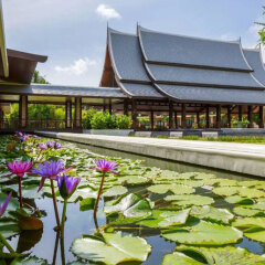 Отель Duangjitt Resort, Phuket фото 13