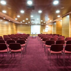 Radisson Blu Hotel Lisbon Лиссабон помещение для мероприятий