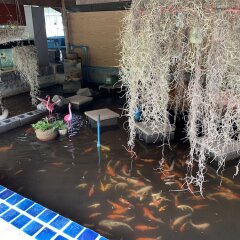Отель Eddy's Place Самуи бассейн фото 2