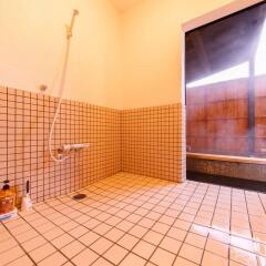 Отель Yufuin Ryokan Seikoen Хидзи сауна