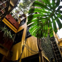 Отель Chalet del Carmen Coyoacán Мексика, Мехико - отзывы, цены и фото номеров - забронировать отель Chalet del Carmen Coyoacán онлайн балкон