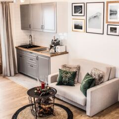 Апартаменты Luxury Apartment Gorsky Поронин комната для гостей фото 2