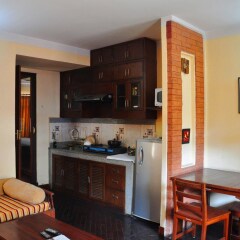 Отель Temple Tiger Thamel Apartment Непал, Катманду - отзывы, цены и фото номеров - забронировать отель Temple Tiger Thamel Apartment онлайн в номере фото 2