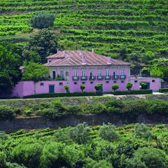 Отель Casa Dos Varais, Manor House Португалия, Ламего - отзывы, цены и фото номеров - забронировать отель Casa Dos Varais, Manor House онлайн фитнесс-зал