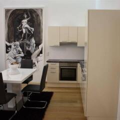 Отель Luxury Downtown Apartment Vienna - Baeckerstrasse Австрия, Вена - отзывы, цены и фото номеров - забронировать отель Luxury Downtown Apartment Vienna - Baeckerstrasse онлайн в номере
