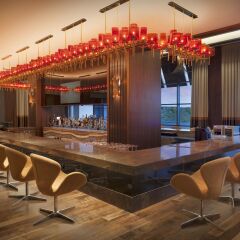 Radisson Blu Hotel & Spa, Istanbul Tuzla гостиничный бар