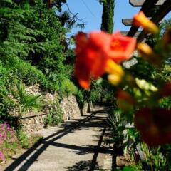 Отель Villa Tivoli Меран фото 13
