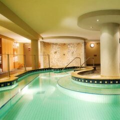 Отель Banff Caribou Lodge and Spa с домашними животными