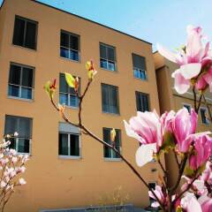Отель Altstadt Hotel Hofwirt Salzburg Австрия, Зальцбург - 1 отзыв об отеле, цены и фото номеров - забронировать отель Altstadt Hotel Hofwirt Salzburg онлайн фото 6