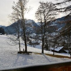 Отель Les Erables, Chalet