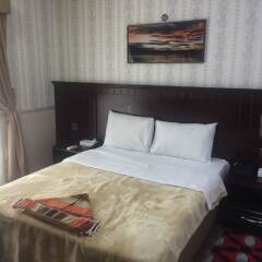 Ana Palace Hotel комната для гостей фото 2