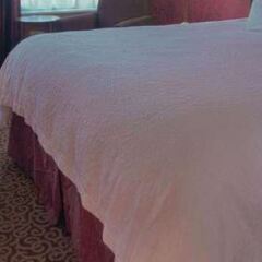Отель Hampton Inn & Suites Columbus - Downtown США, Колумбус - отзывы, цены и фото номеров - забронировать отель Hampton Inn & Suites Columbus - Downtown онлайн с домашними животными