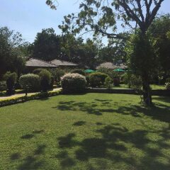 Отель Flower Garden Lake resort детские мероприятия