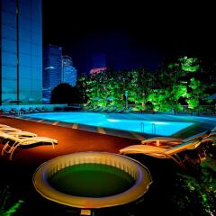 Shinagawa Prince Hotel бассейн фото 2
