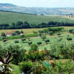Отель Agriturismo Case al Sole Италия, Лорето - отзывы, цены и фото номеров - забронировать отель Agriturismo Case al Sole онлайн фото 2