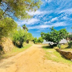 Отель Bungalows Papalús Испания, Льорет-де-Мар - отзывы, цены и фото номеров - забронировать отель Bungalows Papalús онлайн фото 8
