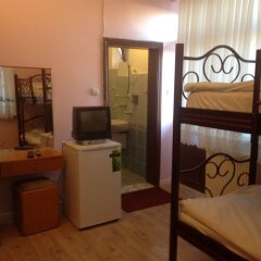 Dedeli Deluxe Hotel Турция, Ургуп - отзывы, цены и фото номеров - забронировать отель Dedeli Deluxe Hotel онлайн удобства в номере фото 2