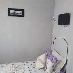 Отель Trakia Bed & Breakfast удобства в номере