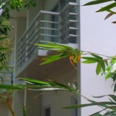 Отель Greenspace Palawan Hotel Филиппины, Пуэрто-Принцеса - отзывы, цены и фото номеров - забронировать отель Greenspace Palawan Hotel онлайн фото 6