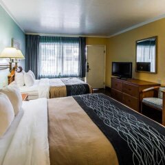 Отель Comfort Inn and Suites Resort Cocoa Beach США, Какао-Бич - отзывы, цены и фото номеров - забронировать отель Comfort Inn and Suites Resort Cocoa Beach онлайн