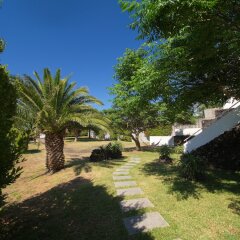 Отель Casa do Pico Португалия, Мадалена - отзывы, цены и фото номеров - забронировать отель Casa do Pico онлайн фото 12
