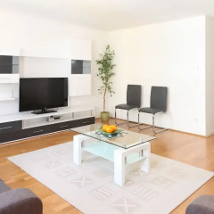 Отель Sunny Apartments - Schoenbrunn Австрия, Вена - отзывы, цены и фото номеров - забронировать отель Sunny Apartments - Schoenbrunn онлайн комната для гостей фото 2