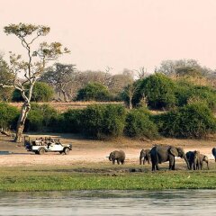 Ihaha Mobile Camp in Chobe National Park, Botswana from 1078$, photos, reviews - zenhotels.com beach