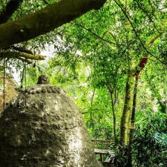 Отель Dao Anh Khanh Treehouse Ханой фото 8