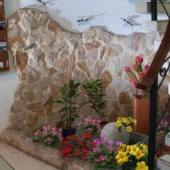 The Garden Hostel развлечения