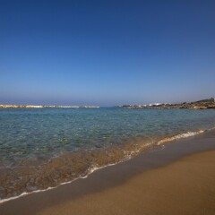 Venus Beach Hotel фото 3
