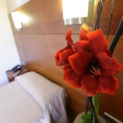 Hotel Via Augusta детские мероприятия
