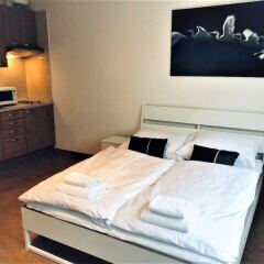 Отель Queens 7 Apartments Чехия, Прага - отзывы, цены и фото номеров - забронировать отель Queens 7 Apartments онлайн фото 7