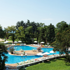 Lebed Hotel - All Inclusive бассейн