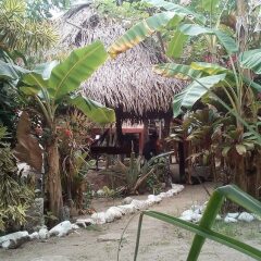 Отель Coco cabañas Гондурас, Тела - отзывы, цены и фото номеров - забронировать отель Coco cabañas онлайн фото 7