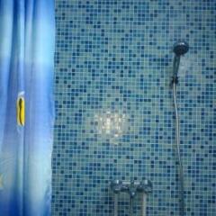 Гостиница Alpic Guest House фото 16