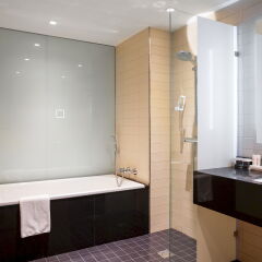Рэдиссон Блу Шереметьево (Radisson Blu Sheremetyevo Hotel) ванная фото 2
