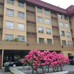 Отель Hampton Inn by Hilton Vancouver-Airport/Richmond Канада, Ричмонд - отзывы, цены и фото номеров - забронировать отель Hampton Inn by Hilton Vancouver-Airport/Richmond онлайн интерьер отеля фото 2