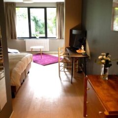 Отель B&B Bed and Garden Бельгия, Брюссель - отзывы, цены и фото номеров - забронировать отель B&B Bed and Garden онлайн комната для гостей фото 4
