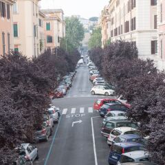 Quality Hotel Nova Domus фото 4