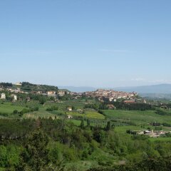 Hotel Rinascente Кьянчиано Терме фото 11