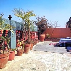 Отель Pomelo House Непал, Катманду - отзывы, цены и фото номеров - забронировать отель Pomelo House онлайн фото 7