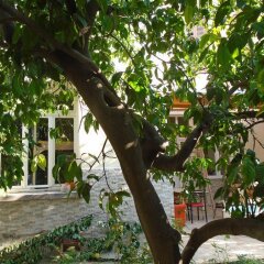 Lotus Garden Hostel Турция, Измир - отзывы, цены и фото номеров - забронировать отель Lotus Garden Hostel онлайн фото 2
