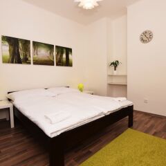 Апартаменты Císarka apartment комната для гостей фото 4