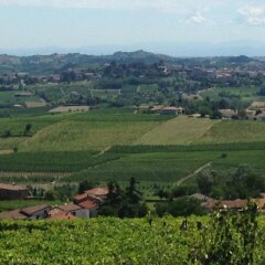 Отель Agriturismo Podere La Piazza Костиглиоле-д'Асти фото 6