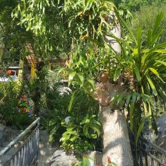 Отель Greenery Resort Koh Tao фото 9