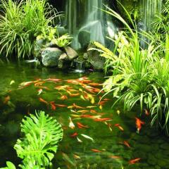Shangri La Hotel Singapore Сингапур фото 3